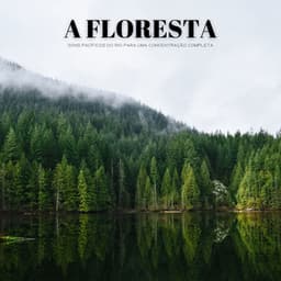 A Floresta: Sons Pacíficos Do Rio Para Uma Concentração Completa - Música de Relaxamento No Spa