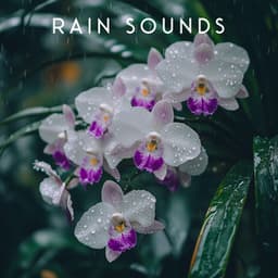 Silent Storm Hum - Rain Sounds For Sleep