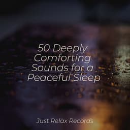 50 Deeply Comforting Sounds for a Peaceful Sleep - Yoga Namaste
