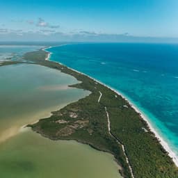 Vacuum Cleaner White Placid Noise - Black Noise Sleep