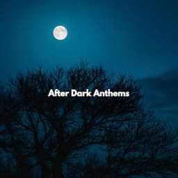 After Dark Anthems - Relax Chillout Lounge