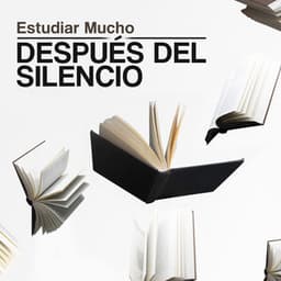 Después del Silencio - Estudiar Mucho