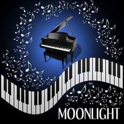 Moonlight - Nikita Schiff