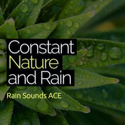 Constant Nature and Rain - Rain Sounds ACE