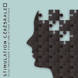 Stimulation cérébrale plus profonde pour une étude efficace: Fréquences de fond relaxantes, Musique pour l'étude, Apprentissage rapide, Mise au point et concentration - Musique pour Détendre en Temps Libre