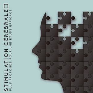 Stimulation cérébrale plus profonde pour une étude efficace: Fréquences de fond relaxantes, Musique pour l'étude, Apprentissage rapide, Mise au point et concentration - Musique pour Détendre en Temps Libre
