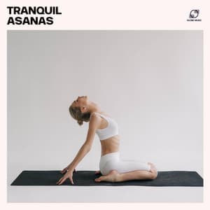 Tranquil Asanas: Yoga Practice Music - Yoga Training Music Oasis