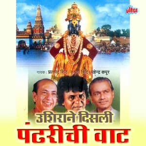 Ushirane Disali Pandharichi Wat - Krishna Shinde