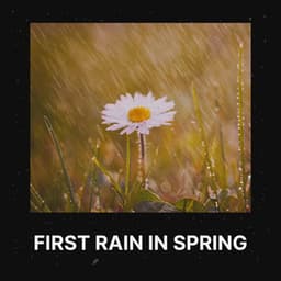 First Rain in Spring - Rain is my Life