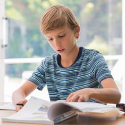 Tranquil Study Curiosity: Fire's Binaural Sounds for Knowledge Absorption - Ultimate Fire Experience