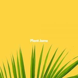 Plant Jams - Musica Rilassante Mattutina Orchestra