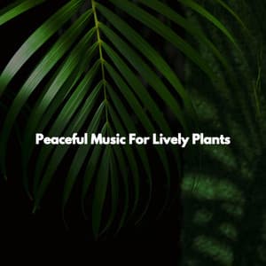 Peaceful Music For Lively Plants - Relaxing Coffee Shop