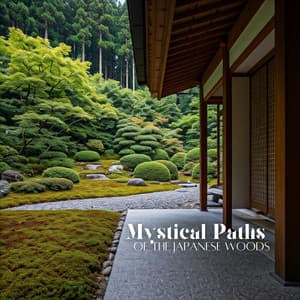 Mystical Paths of the Japanese Woods - Garden of Zen Music