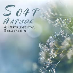Soft Nature & Instrumental Relaxation - Serenity Nature Sounds Academy