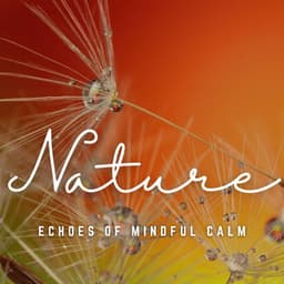 Relaxation Dreams: Echoes of Mindful Calm - Relaxing Pianist