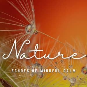 Relaxation Dreams: Echoes of Mindful Calm - Relaxing Pianist