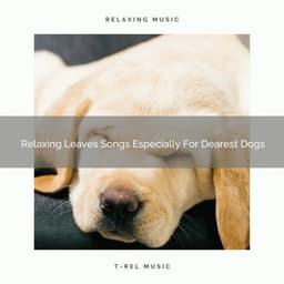 Relaxing Leaves Songs Especially For Dearest Dogs - Pets Relax