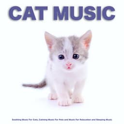 Cat Music: Soothing Music For Cats, Calming Music For Pets and Music For Relaxation and Sleeping Music - Cat Music