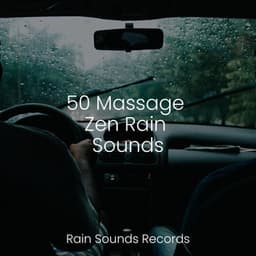 50 Massage Zen Rain Sounds - Meeresrauschen