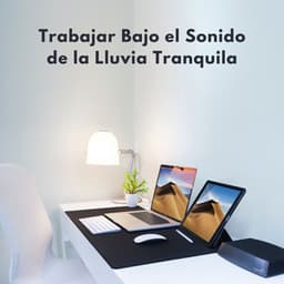 Trabajar Bajo El Sonido De La Lluvia Tranquila - Naturaleza y Lluvia