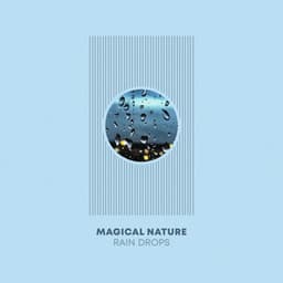 Magical Nature Rain Drops - Nature Sounds