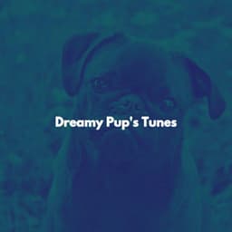 Dreamy Pup's Tunes - Musica del lobby del Hotel