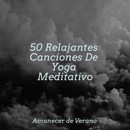 50 Relajantes Canciones De Yoga Meditativo - Dulces Sueños