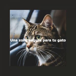Una zona segura para tu gato - Elevator Background Music Classics