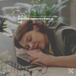 Ambiente Tranquilo para La Paz - Reiki y Tai Chi Armonía