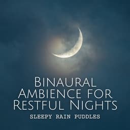 Sleepy Rain Puddles: Binaural Ambience for Restful Nights - Rain Radiance