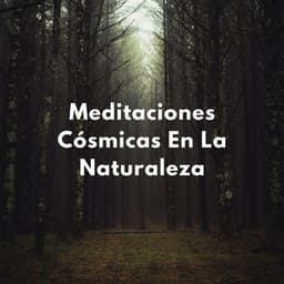 Cúpula Celestial: Meditaciones Cósmicas En La Naturaleza - Medi Rela