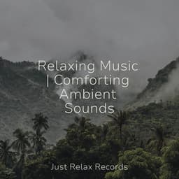 Relaxing Music | Comforting Ambient Sounds - Relaxing Mindfulness Meditation Relaxation Maestro