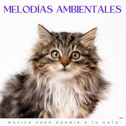 Melodías Ambientales: Música Para Dormir A Tu Gato - Relajación de ritmos binaurales