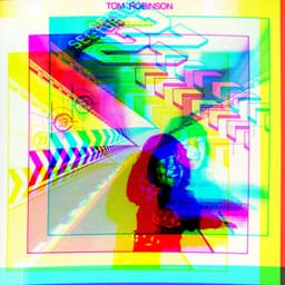 Sector 27 - Tom Robinson
