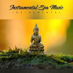 Instrumental Spa Music - Instrumental