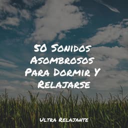50 Sonidos Asombrosos Para Dormir Y Relajarse - Música De Relajación Para Dormir Profundamente