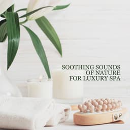 Soothing Sounds of Nature for Luxury Spa – Invigorate Your Body & Mind with Healing Nature Sounds, Spa Treatmens, Wellness, Massage, Bath & Relax - Rain Music!