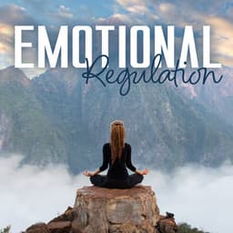 Emotional Regulation - David Kernes