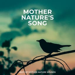 Mother Nature's Song - Best of Mother Nature Sounds