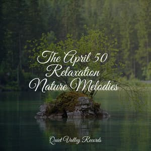 The April 50 Relaxation Nature Melodies For Dogs - Sleep Music For Dogs