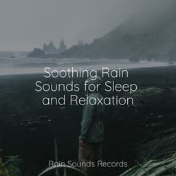 Soothing Rain Sounds for Sleep and Relaxation - Anxiety Relief
