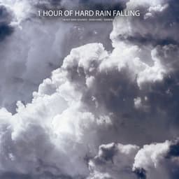 1 Hour of Hard Rain Falling - Heavy Rain Sounds