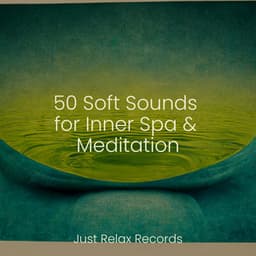 50 Soft Sounds for Inner Spa & Meditation - Bedtime Lullabies