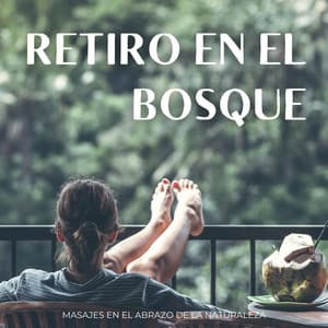 Retiro En El Bosque: Masajes En El Abrazo De La Naturaleza - Efectos especiales del bosque