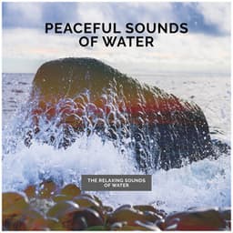 Peaceful Sounds of Water - The Relaxing Sounds of Water