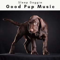 1 Good Pup Music - Sleep Doggie