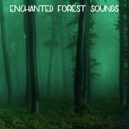 Enchanted Forest Sounds - Ambient Forest