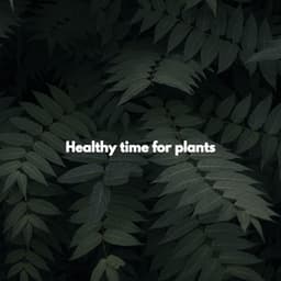 Healthy time for plants - Jazz Piano Bar
