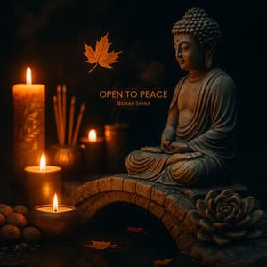 Open to Peace - Namah Shina