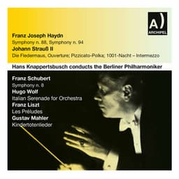 Haydn, Strauss II & Others: Orchestral Works - Berliner Philharmoniker